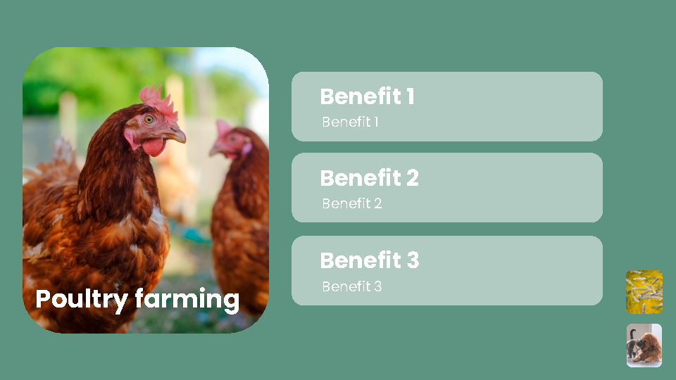 Mealworm Pitch Deck
